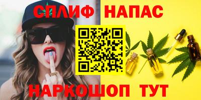 гидра Гагарин