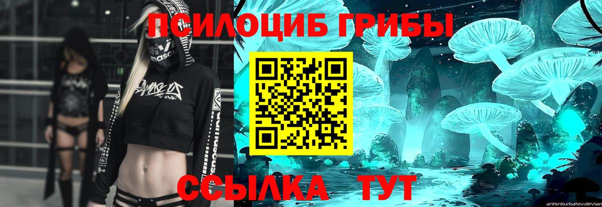 Галлюциногенные грибы Magic Shrooms Мытищи