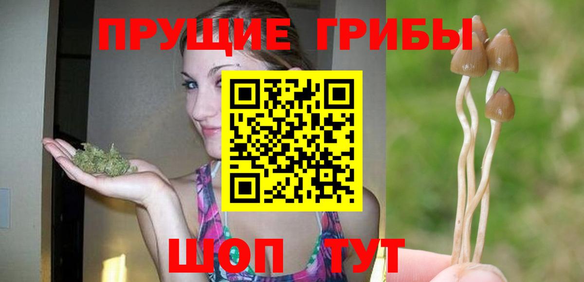 Мытищи  Псилоцибиновые грибы Cubensis  Вход с VPN 
